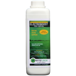 Electroboost post partum