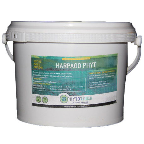 Harpago Phyt poudre  - 1 kg