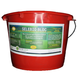 Sélébio bloc - 20 kg